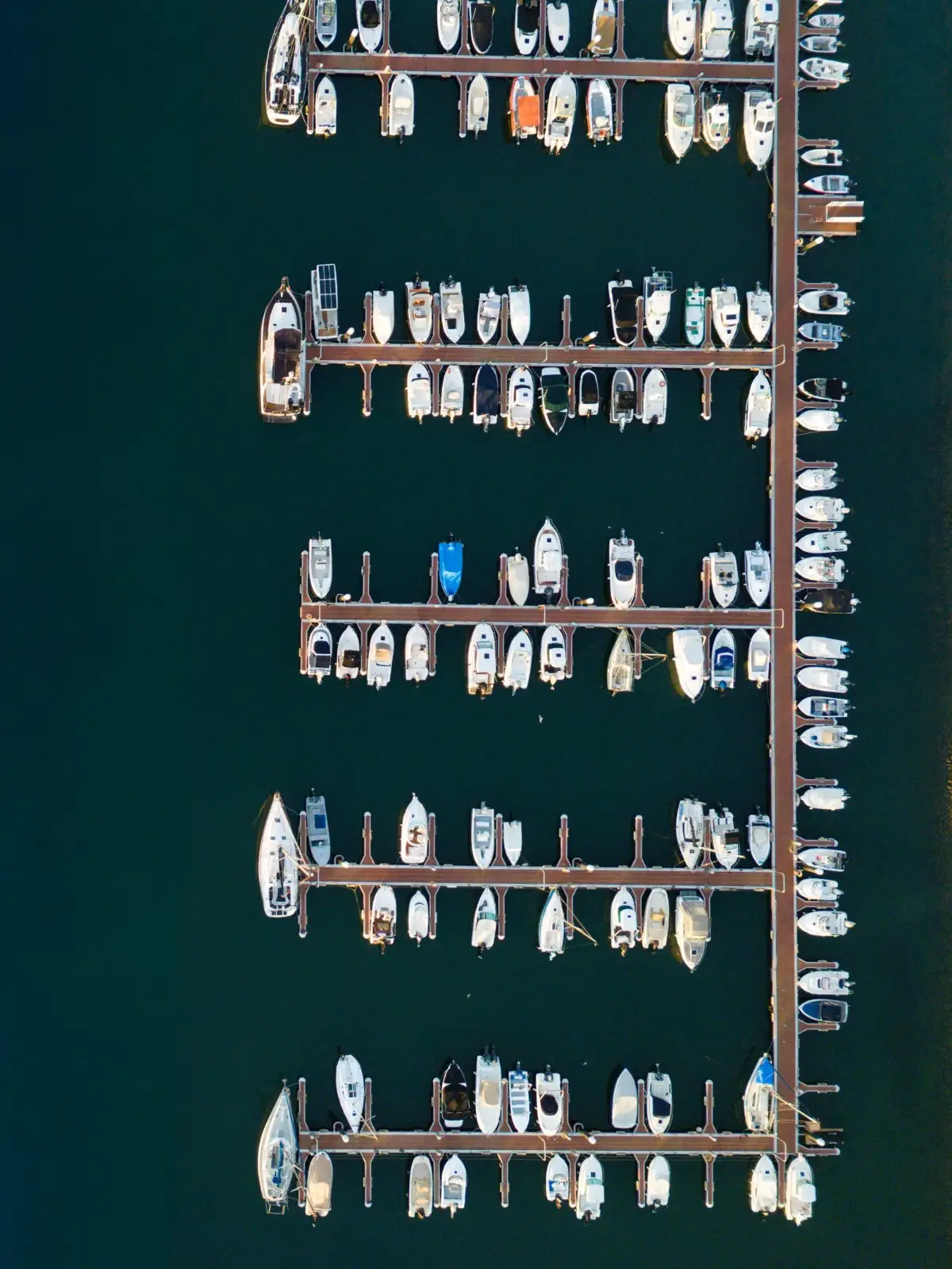 Vista aérea de marina abrigada com barcos atracados